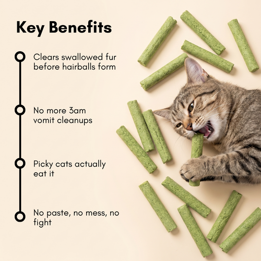 Cat Grass Sticks