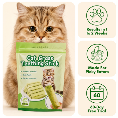 Cat Grass Sticks