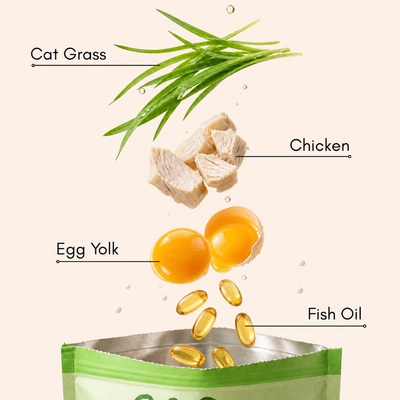 Cat Grass Sticks