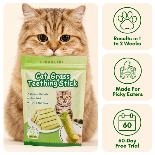Cat Grass Sticks